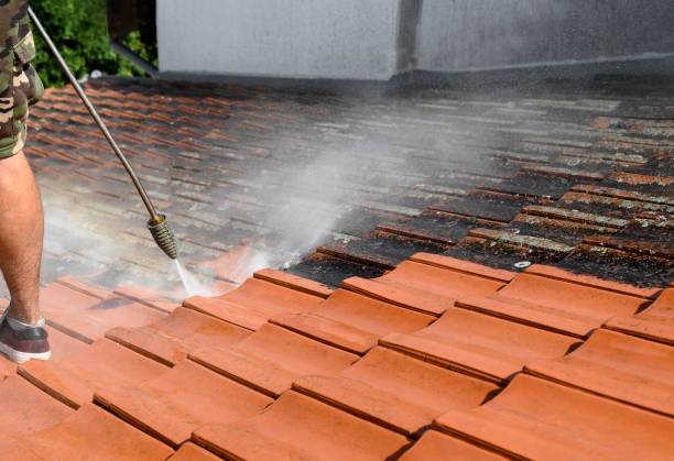 Best Concrete Pressure Washing  in Watsessing, NJ