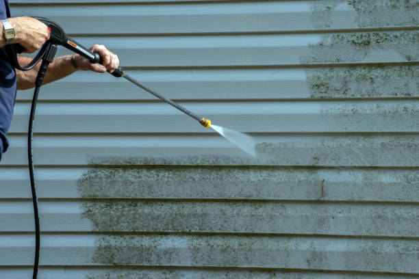 Best Roof Pressure Washing  in Watsessing, NJ